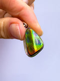 Ammolite Pendant