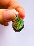 Ammolite Pendant