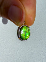 Ammolite Pendant