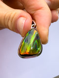 Ammolite Pendant