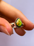 Ammolite Ring size 6