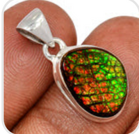 Ammolite Pendant