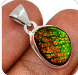 Ammolite Pendant